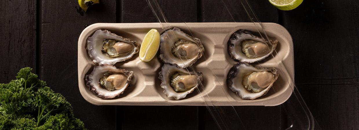 Six oysters top down in a BioPak sugarcane pulp tray