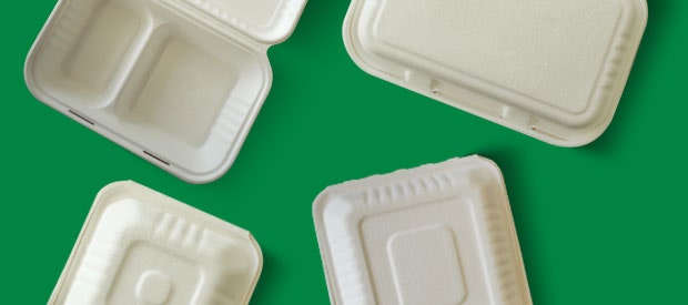 Compostable Takeaway – Eco Clamshell Containers | BioPak