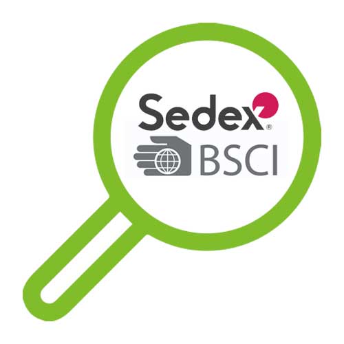 sedex bsci logo in magnifying glass